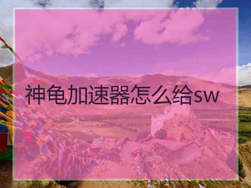 神龟加速器怎么给sw