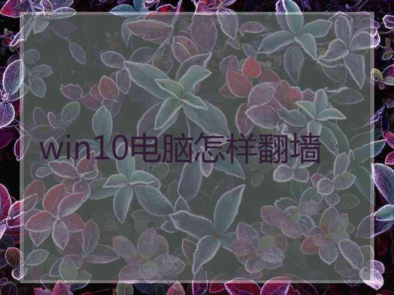 win10电脑怎样翻墙