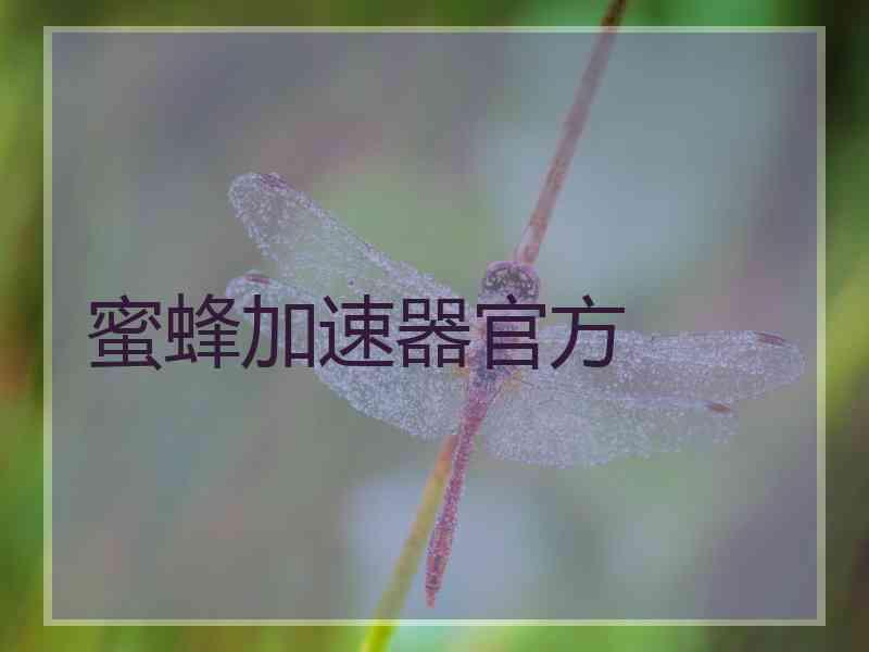 蜜蜂加速器官方