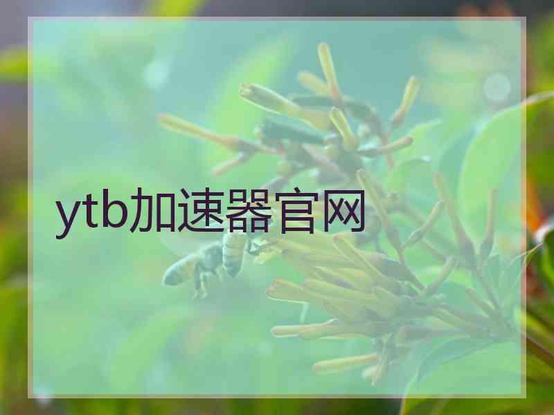 ytb加速器官网