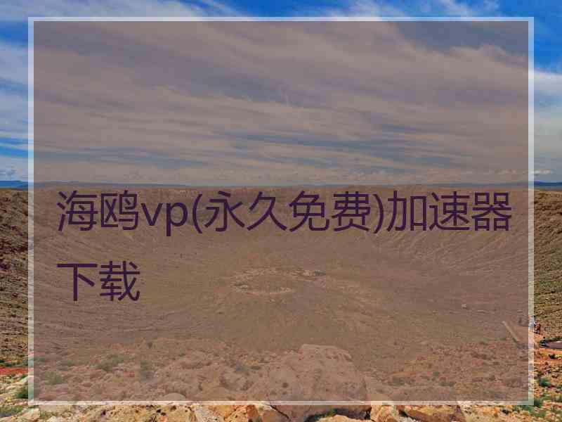 海鸥vp(永久免费)加速器下载