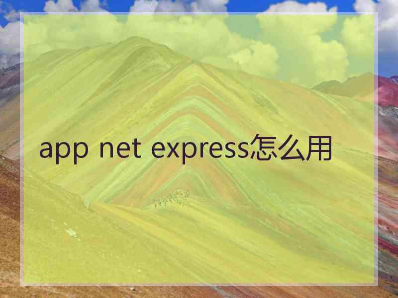 app net express怎么用