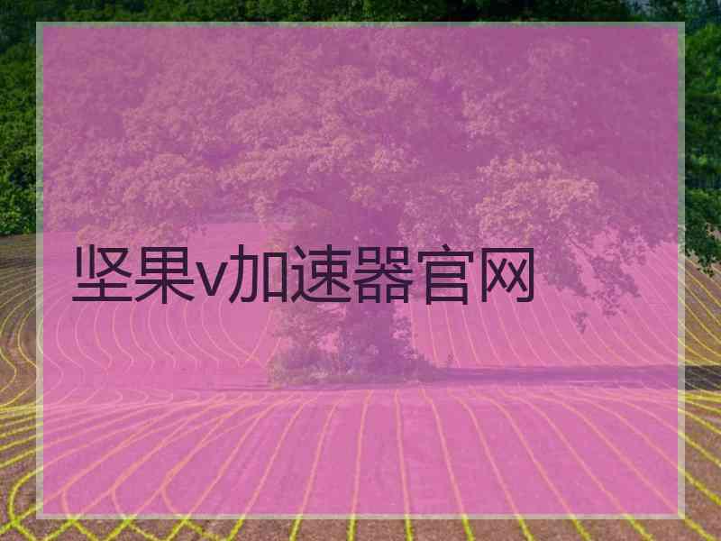 坚果v加速器官网