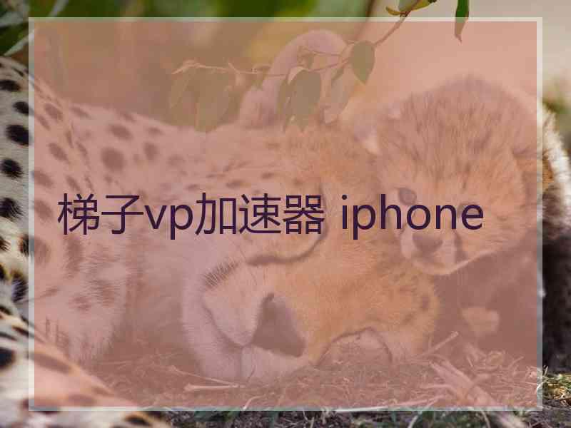 梯子vp加速器 iphone