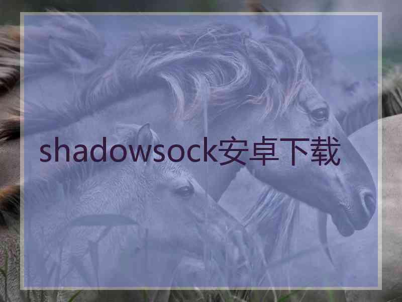 shadowsock安卓下载