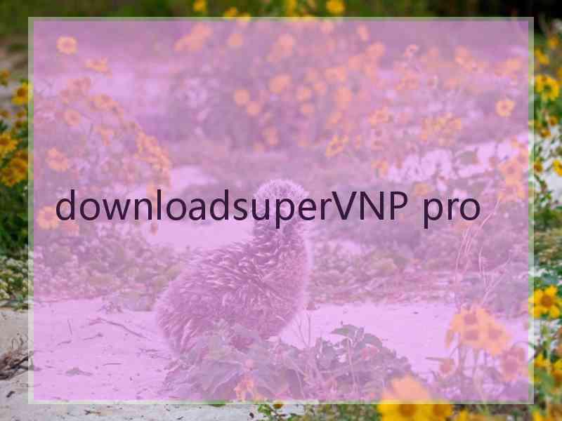 downloadsuperVNP pro