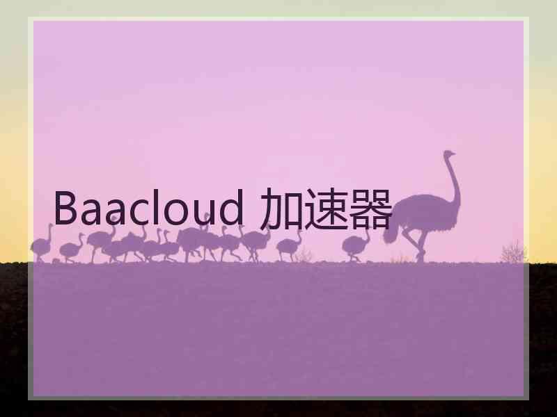 Baacloud 加速器