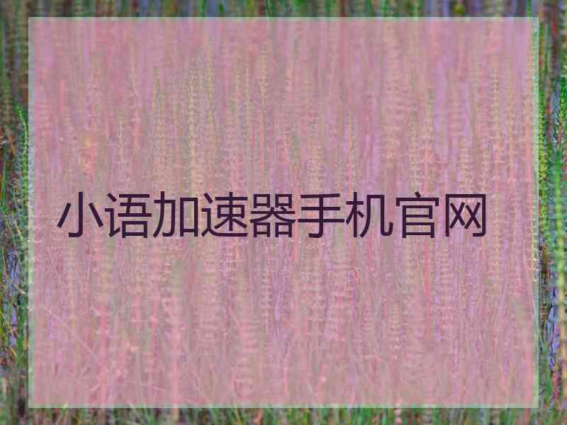 小语加速器手机官网