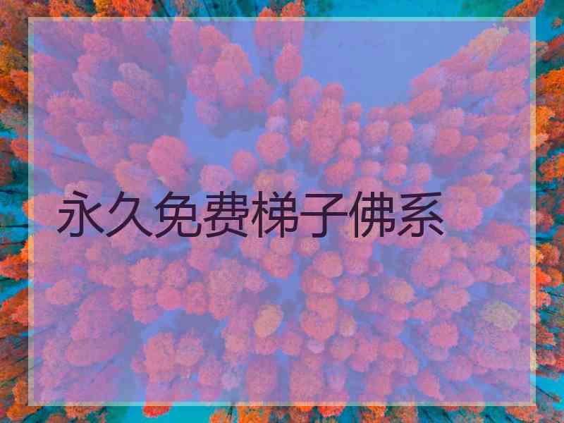 永久免费梯子佛系