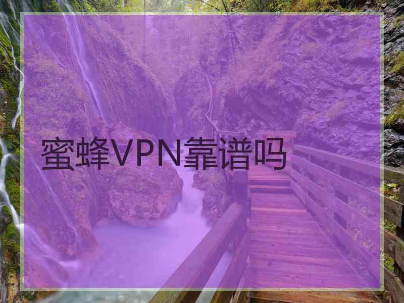 蜜蜂VPN靠谱吗