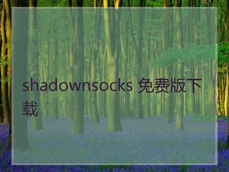 shadownsocks 免费版下载