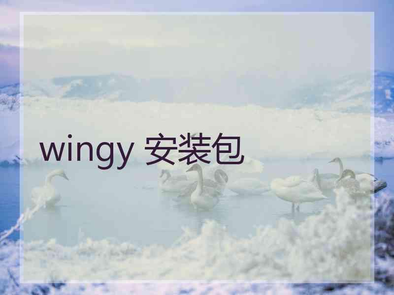 wingy 安装包