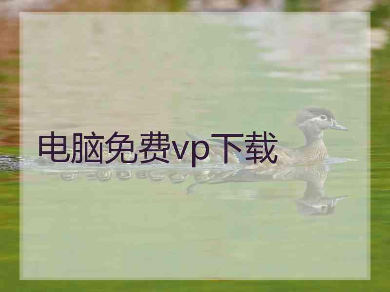 电脑免费vp下载