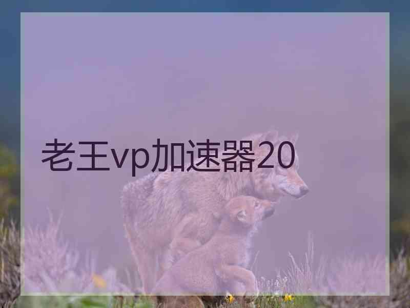 老王vp加速器20