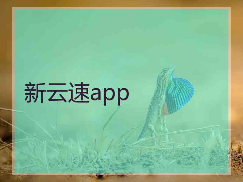 新云速app