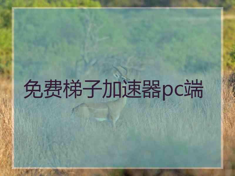 免费梯子加速器pc端