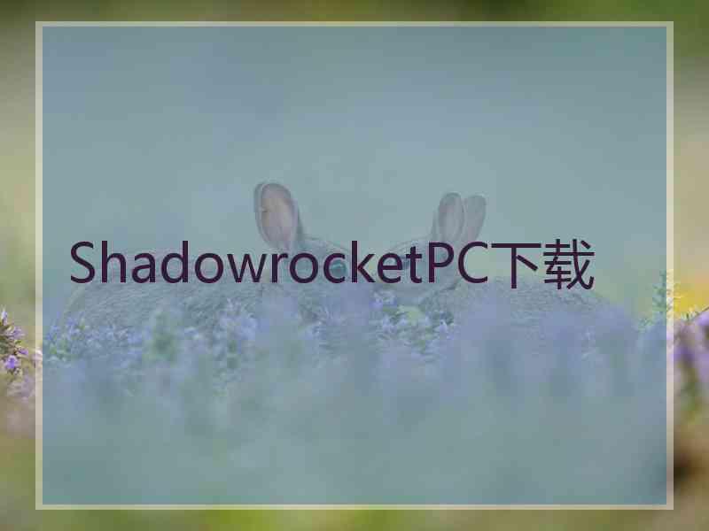 ShadowrocketPC下载