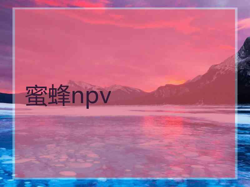 蜜蜂npv