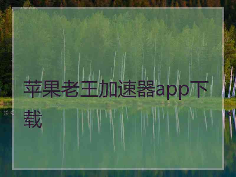 苹果老王加速器app下载