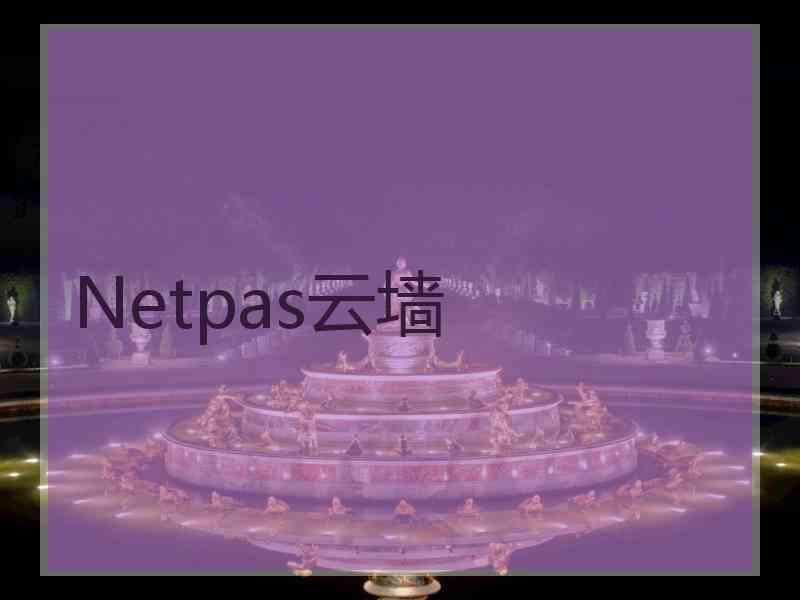 Netpas云墙