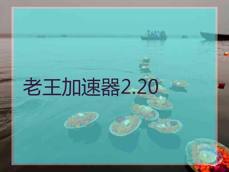 老王加速器2.20