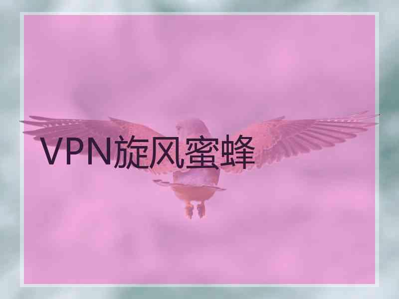 VPN旋风蜜蜂