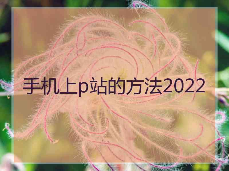 手机上p站的方法2022