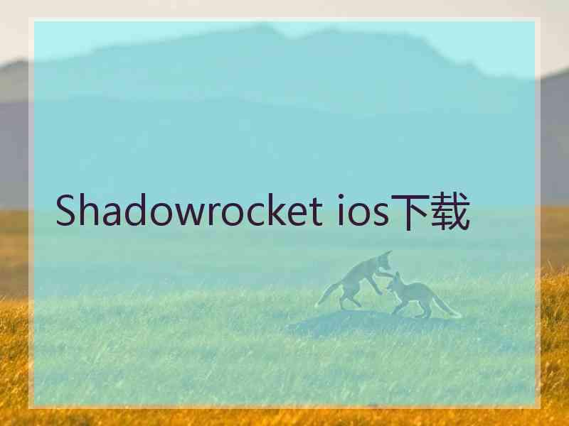 Shadowrocket ios下载