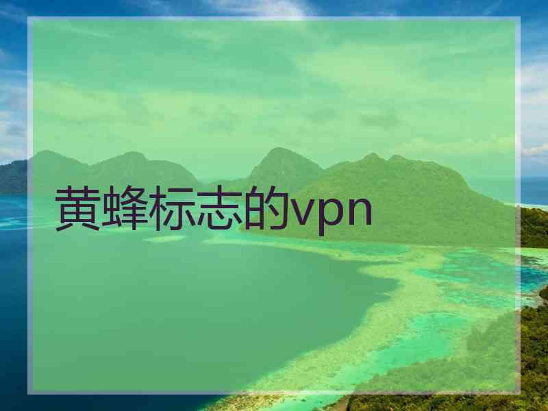 黄蜂标志的vpn