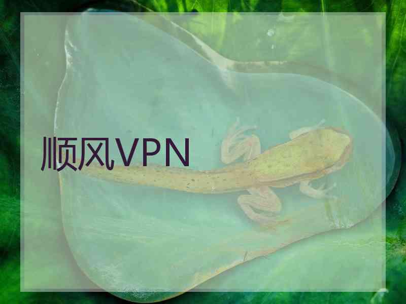 顺风VPN