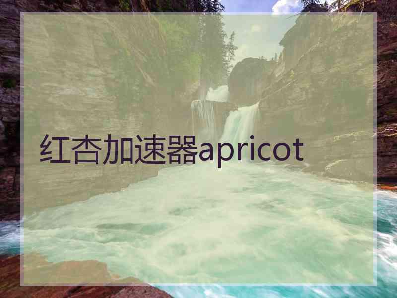 红杏加速器apricot