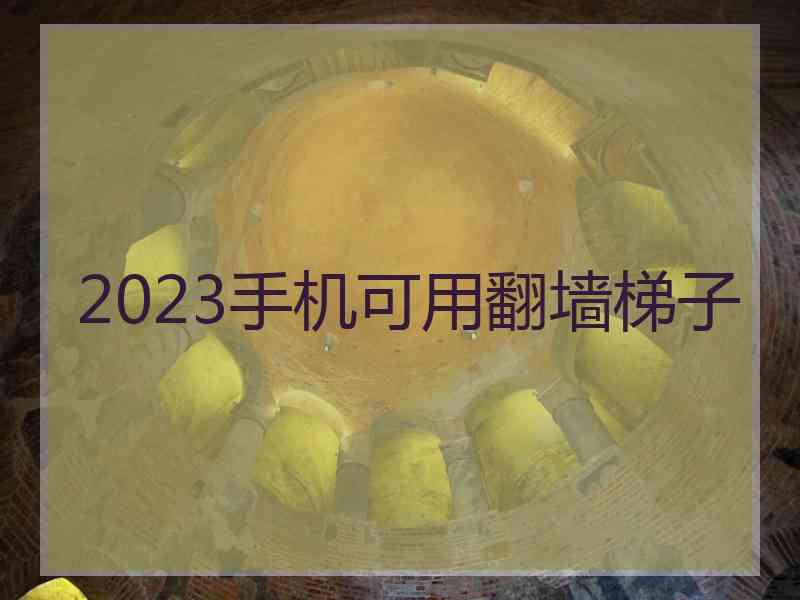 2023手机可用翻墙梯子