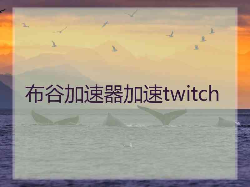 布谷加速器加速twitch