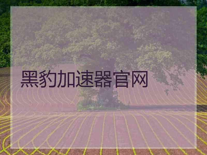 黑豹加速器官网