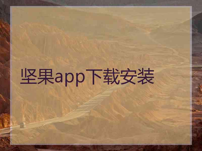 坚果app下载安装