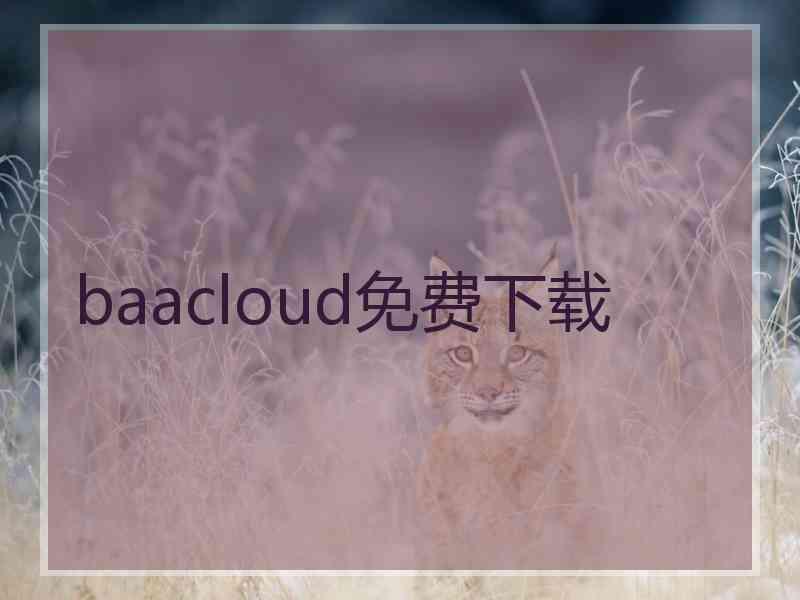 baacloud免费下载