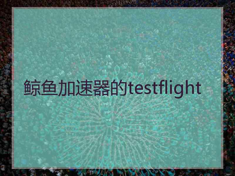 鲸鱼加速器的testflight