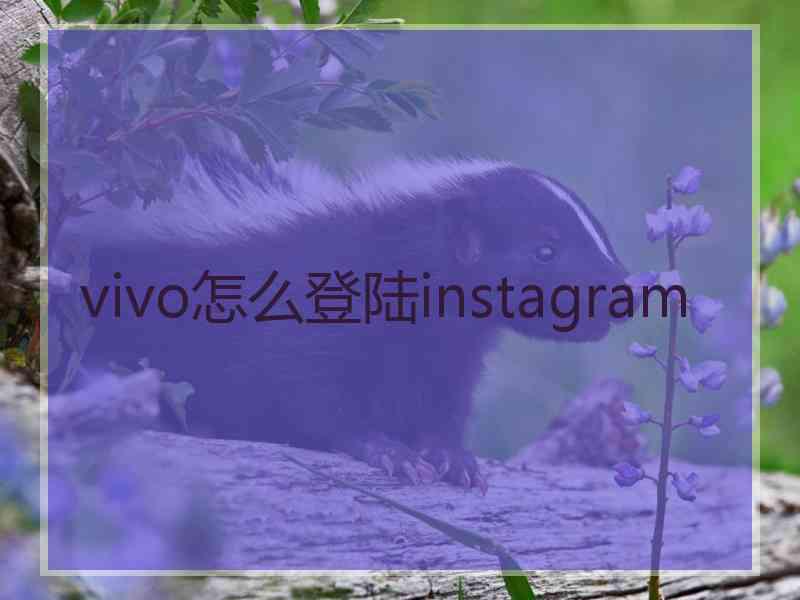 vivo怎么登陆instagram