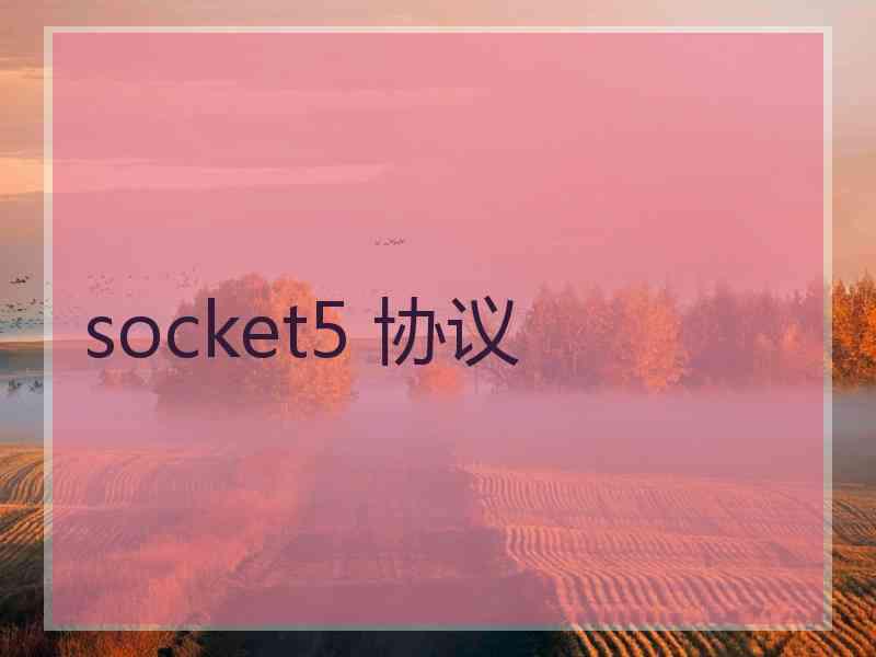 socket5 协议