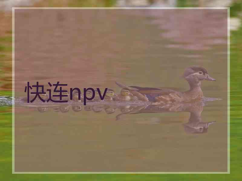 快连npv