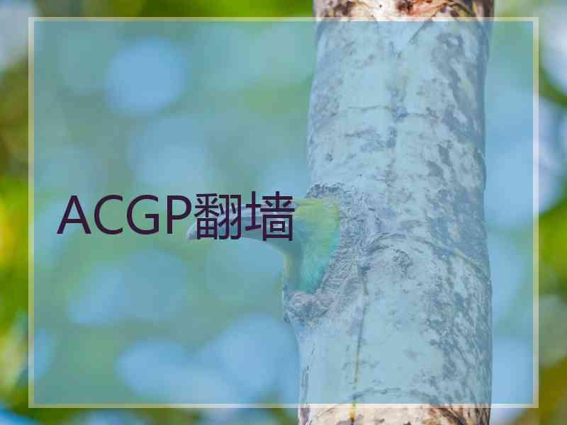 ACGP翻墙