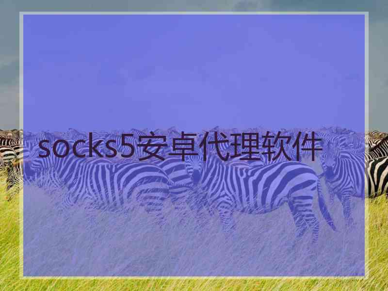 socks5安卓代理软件