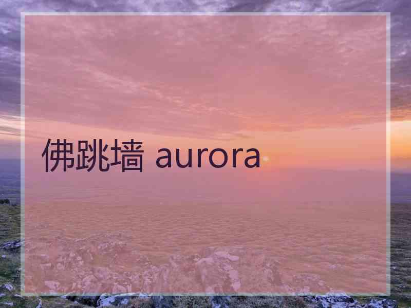 佛跳墙 aurora