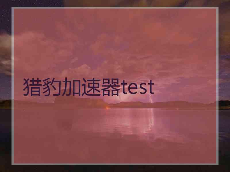 猎豹加速器test