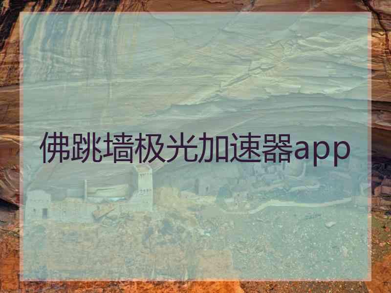 佛跳墙极光加速器app