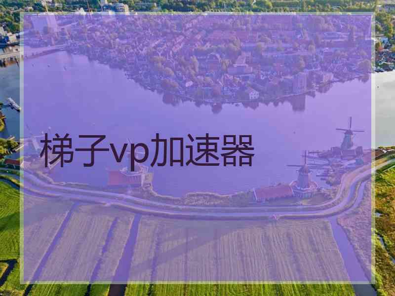 梯子vp加速器