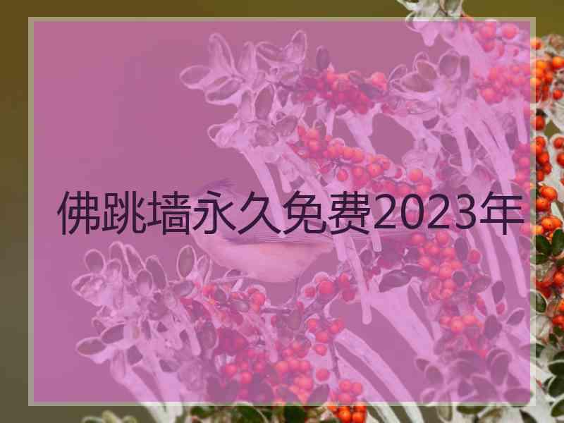 佛跳墙永久免费2023年