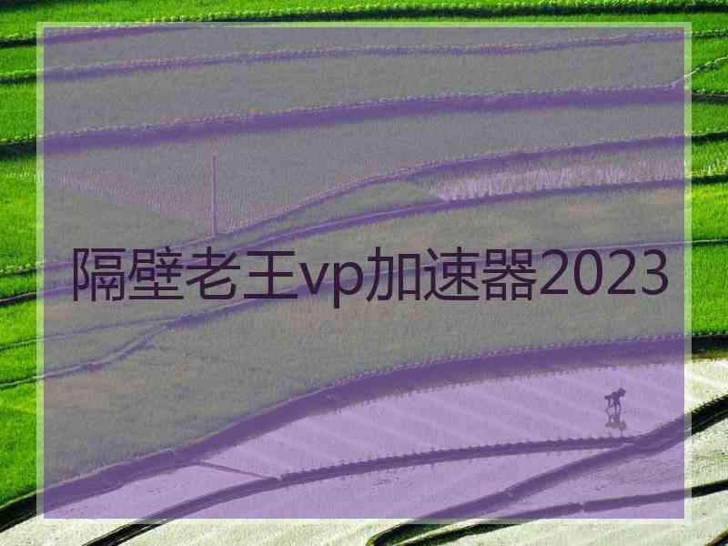 隔壁老王vp加速器2023