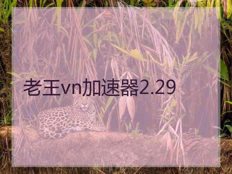 老王vn加速器2.29