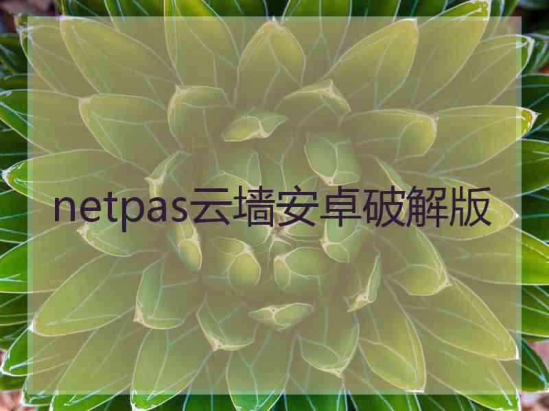 netpas云墙安卓破解版